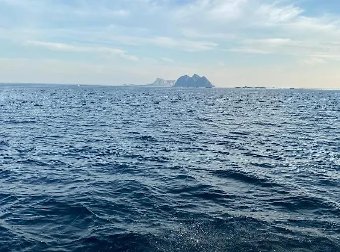 High End Sea At A In Lofoten Appartamento